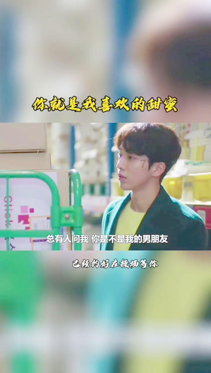 民主之声响彻六盘水之生态保护篇——以人大之力护佑青山常在绿水长流